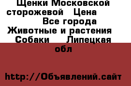 Щенки Московской сторожевой › Цена ­ 35 000 - Все города Животные и растения » Собаки   . Липецкая обл.